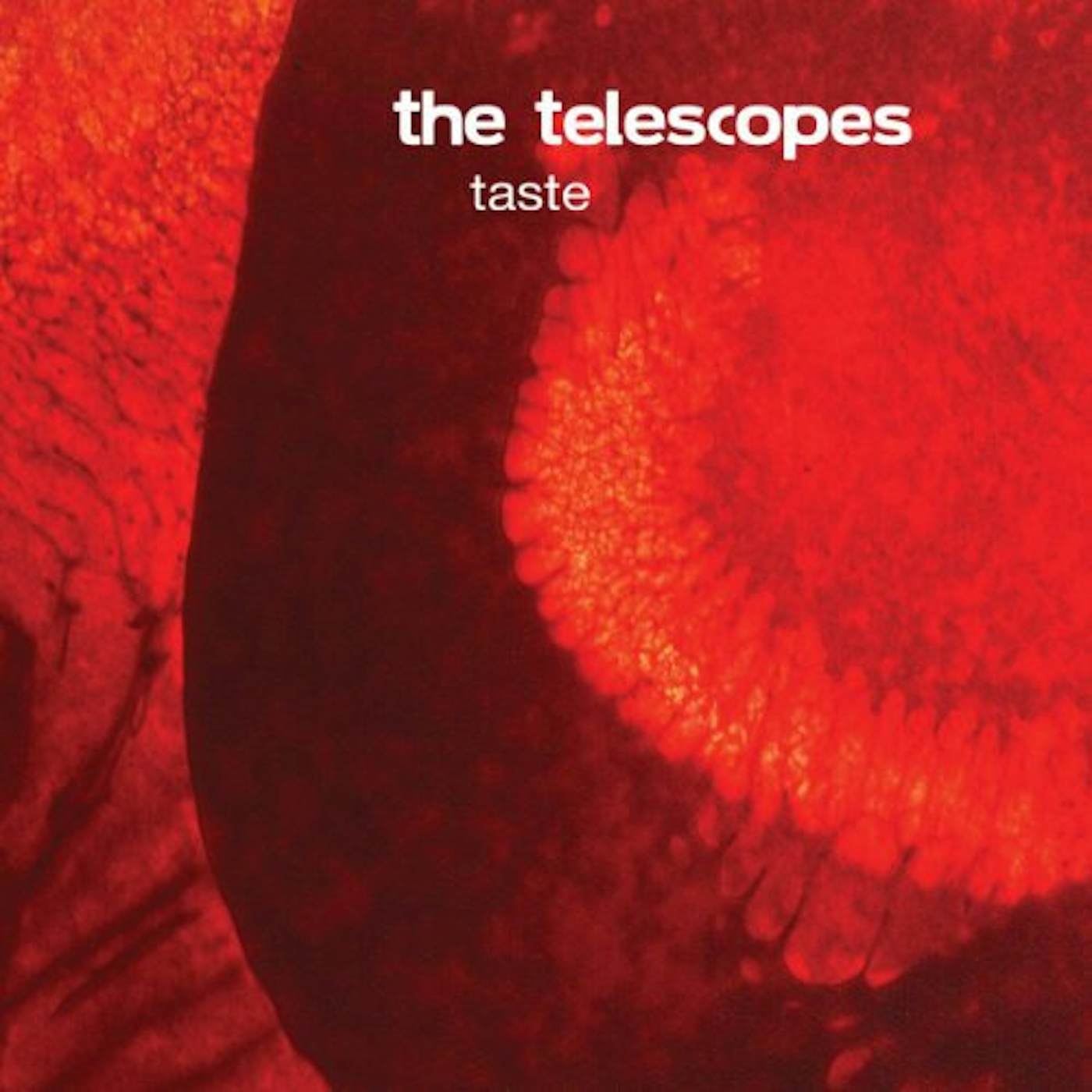 Telescopes Taste Vinyl Record