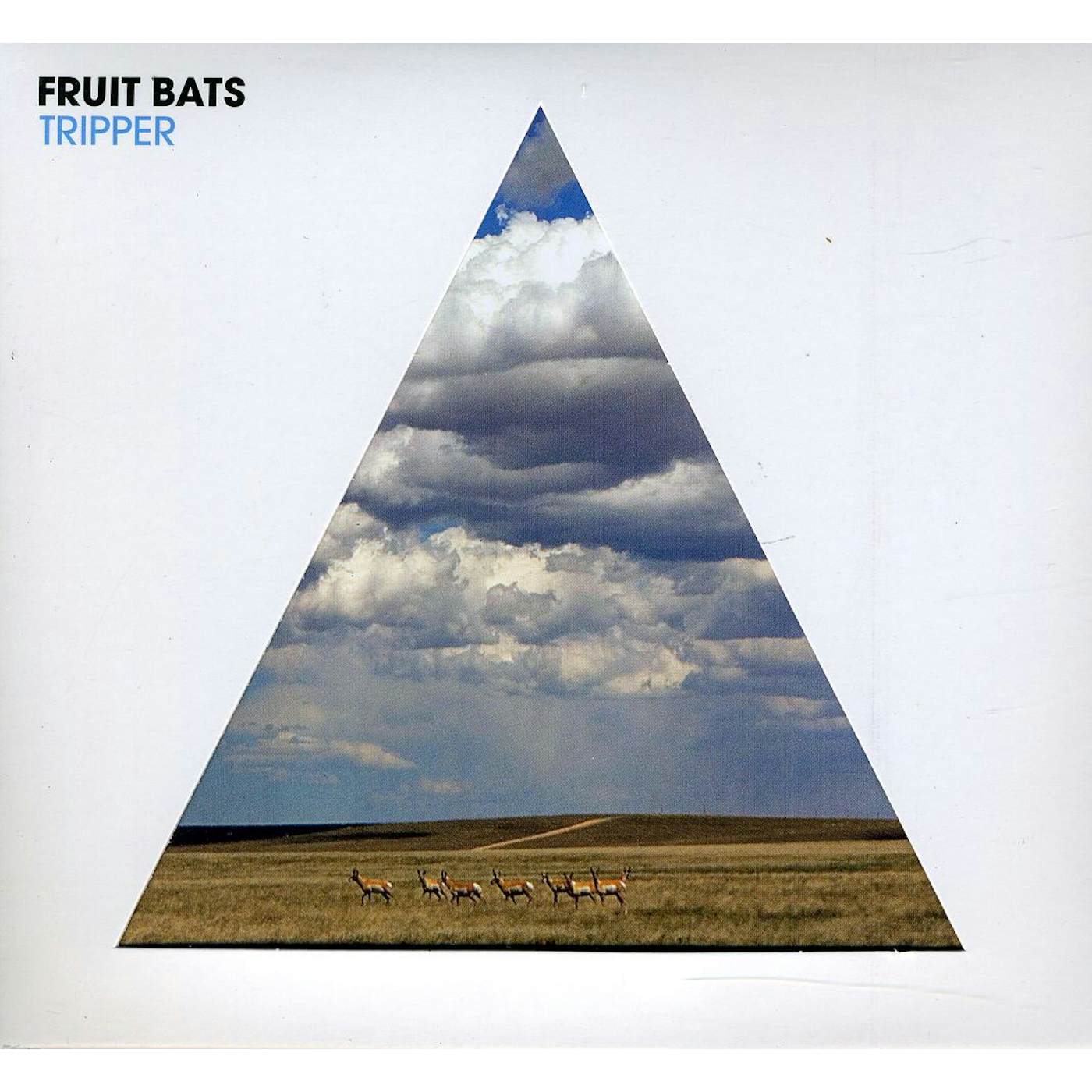 Fruit Bats TRIPPER CD