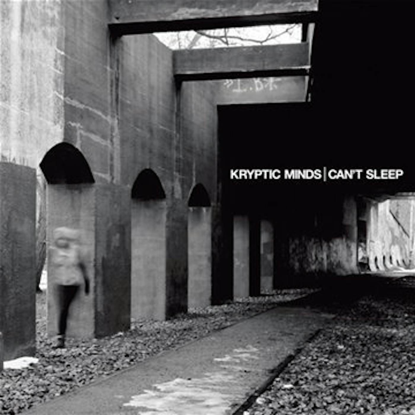 Kryptic Minds CANT SLEEP Vinyl Record