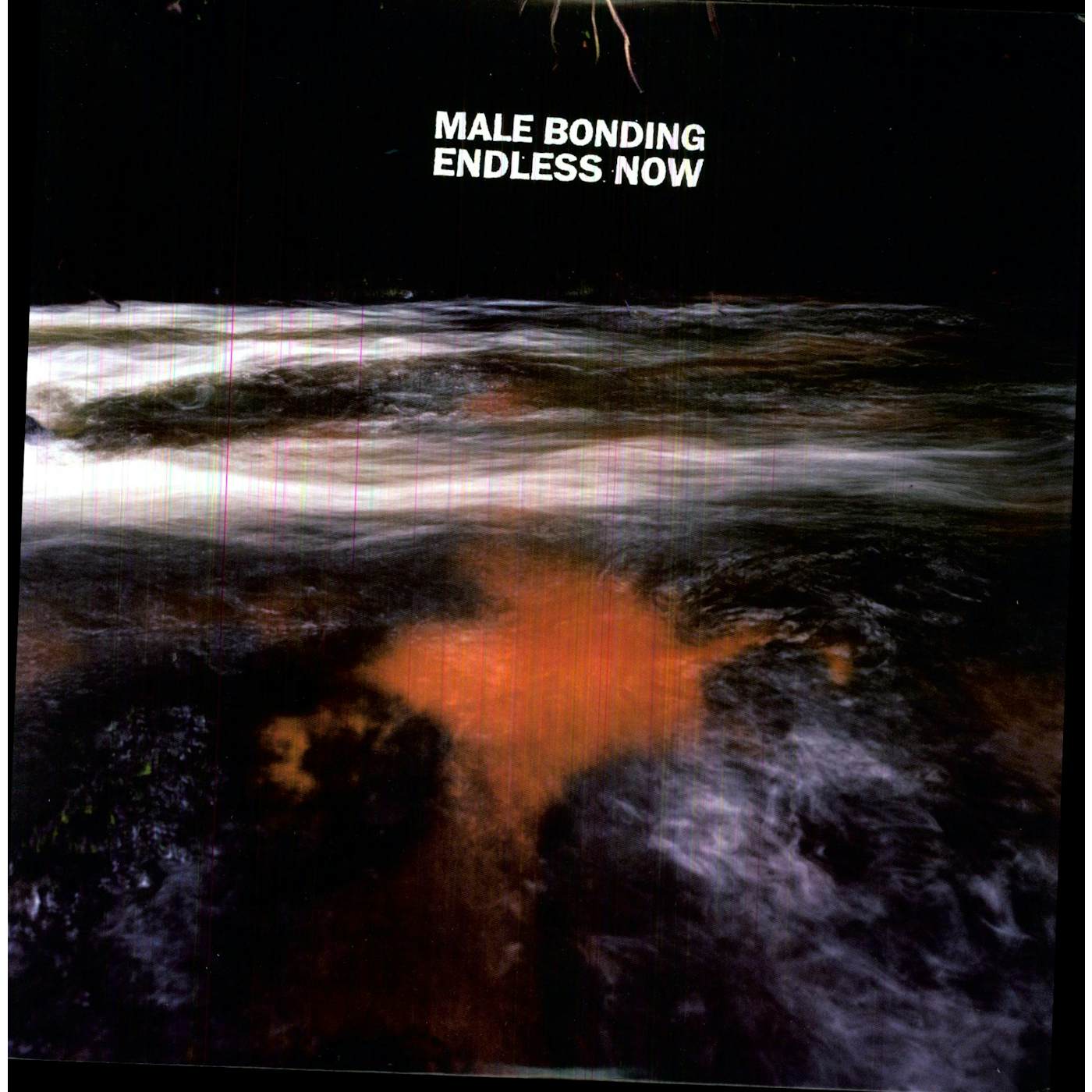 Male Bonding Endless Now Vinyl Record