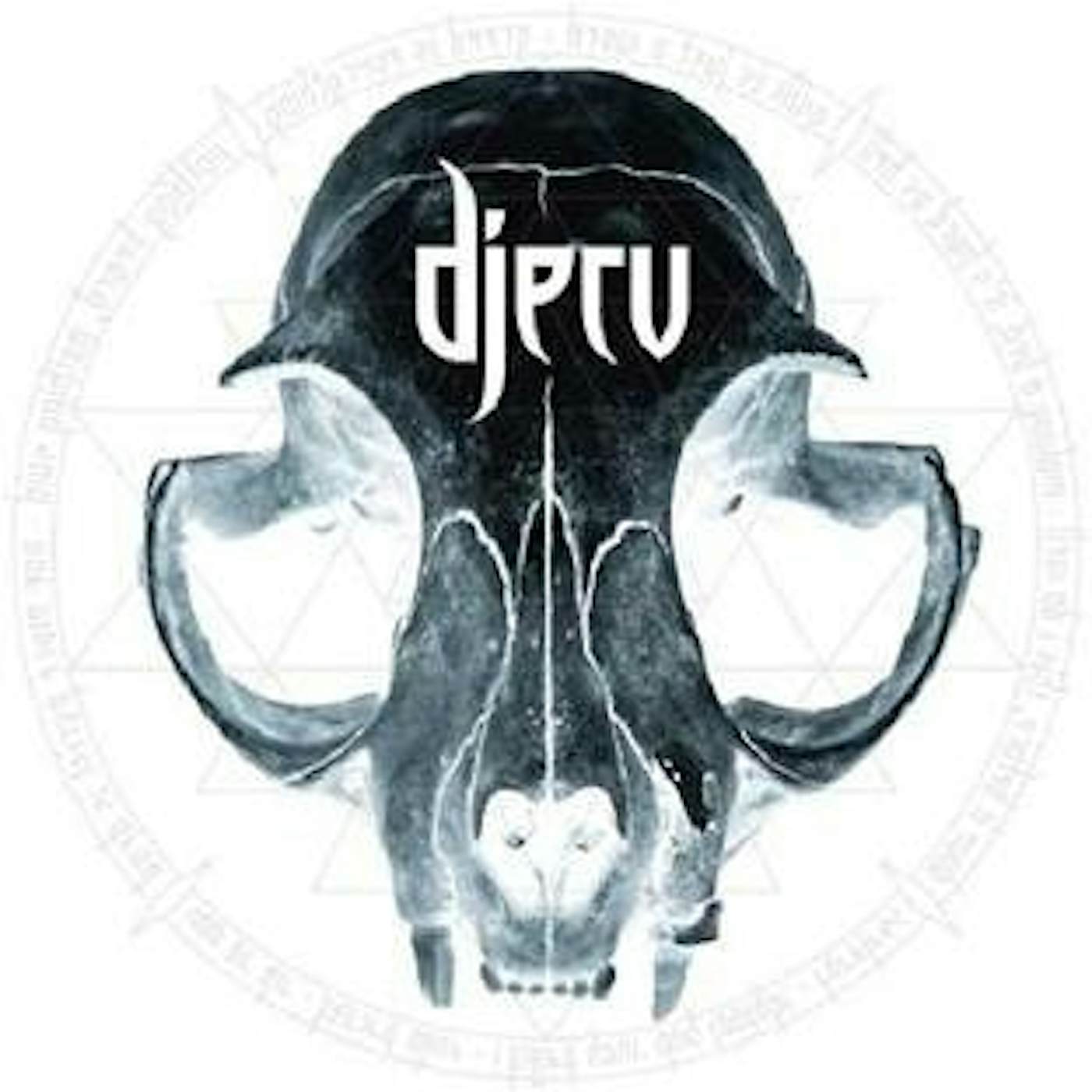 DJERV Vinyl Record
