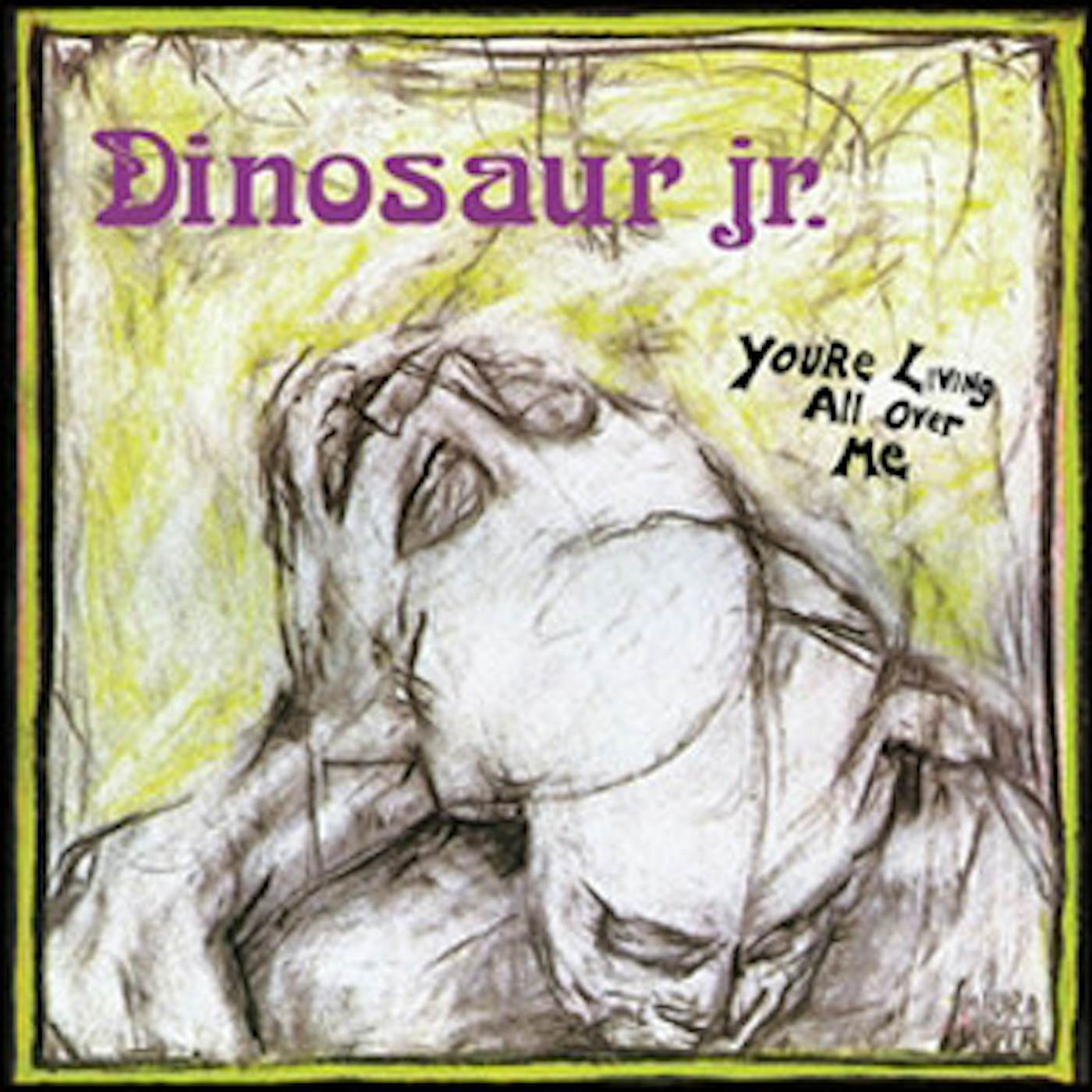 Dinosaur Jr. You're Living All Over Me Vinyl Record
