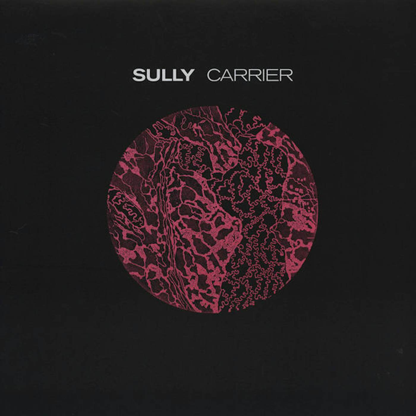 Sully Carrier Vinyl Record