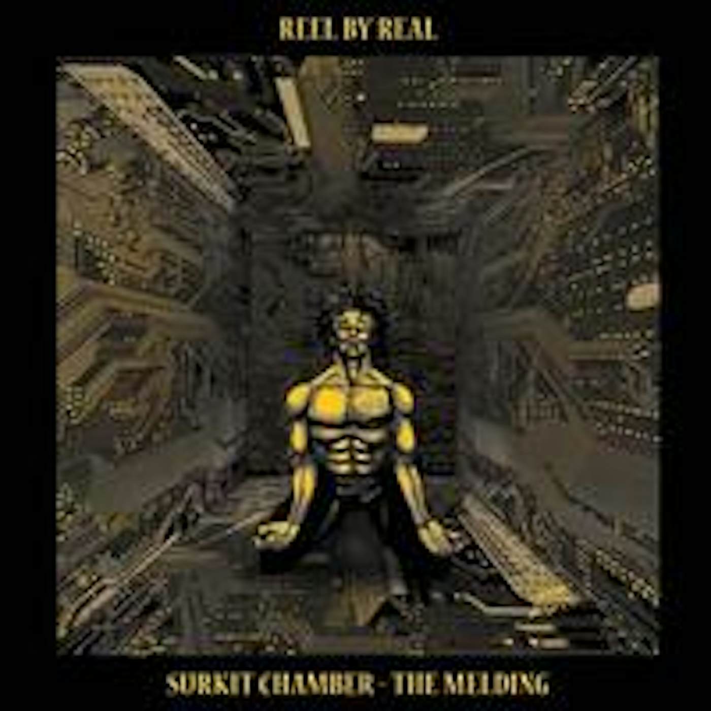 Reel By Real SURKIT CHAMBER: THE MELDING Vinyl Record