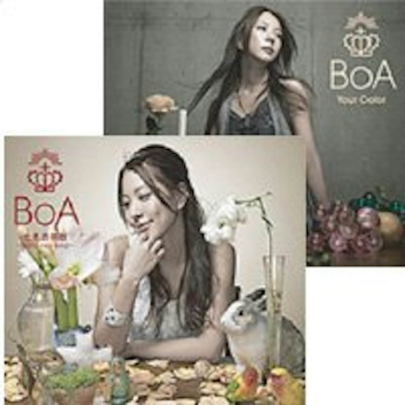 BoA BRAND NEW BEAT / YOUR COLOR CD