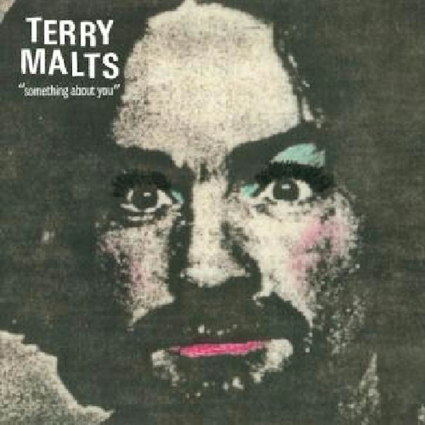 Terry Malts Something About You Vinyl Record