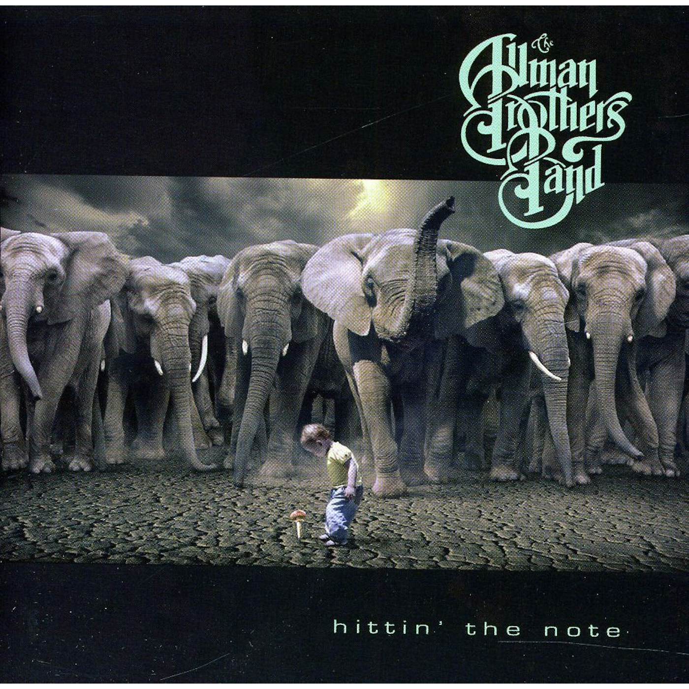 Allman Brothers Band HITTIN THE NOTE CD