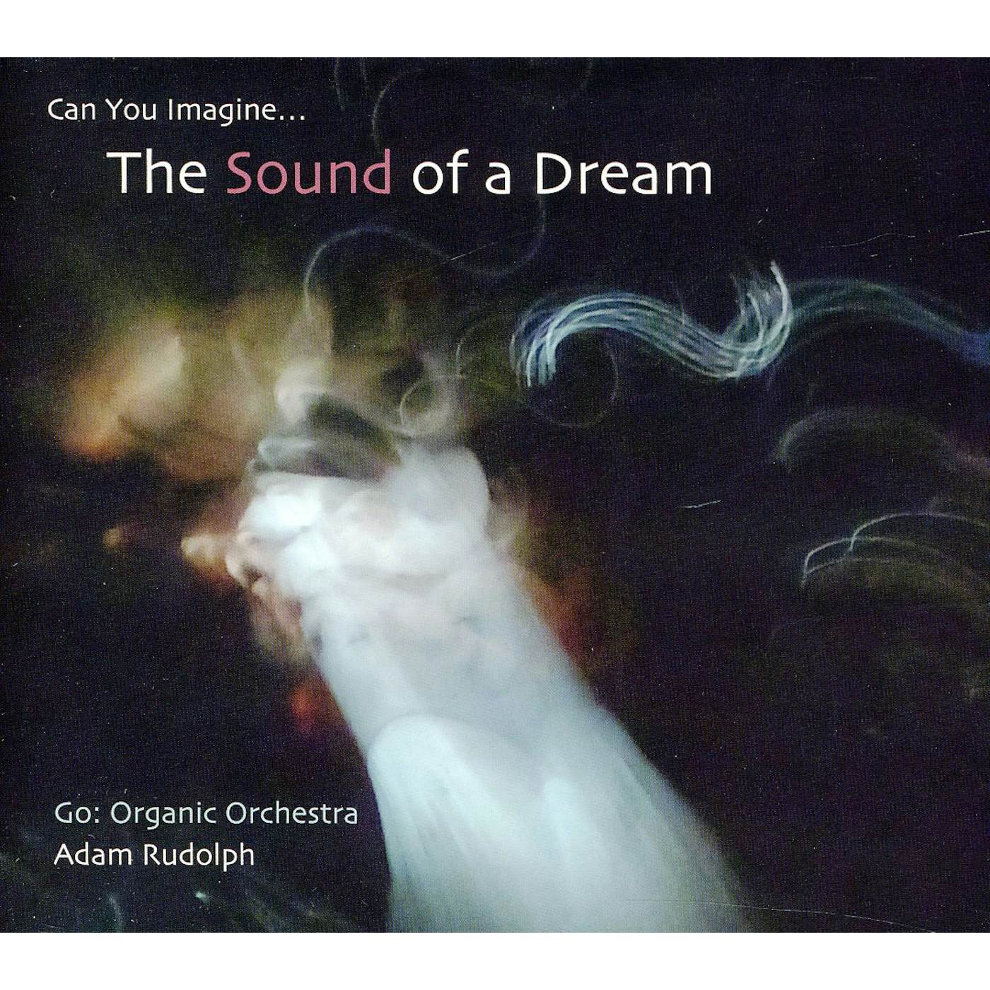 Adam Rudolph GO: ORGANIC ORCHESTRA - CAN YOU IMAGINE THE SOUND CD