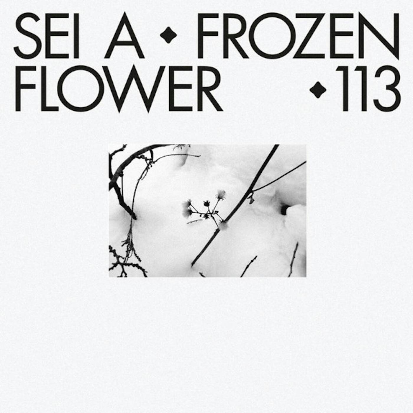 Sei A Frozen Flower Vinyl Record