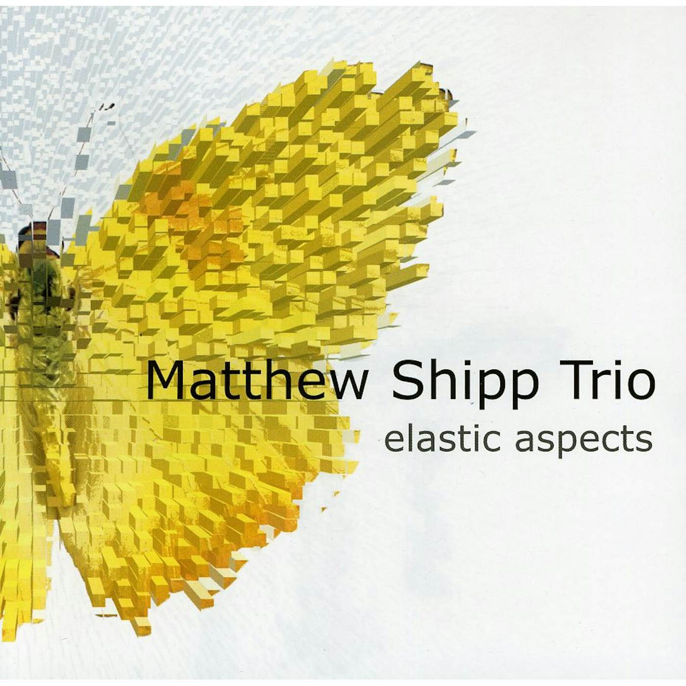 Matthew Shipp ELASTIC ASPECTS CD