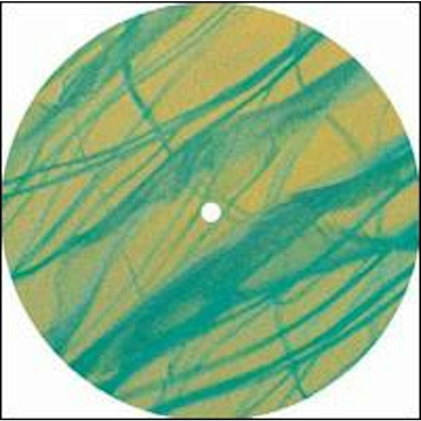 Fluxion Traces EP 2/3 Vinyl Record