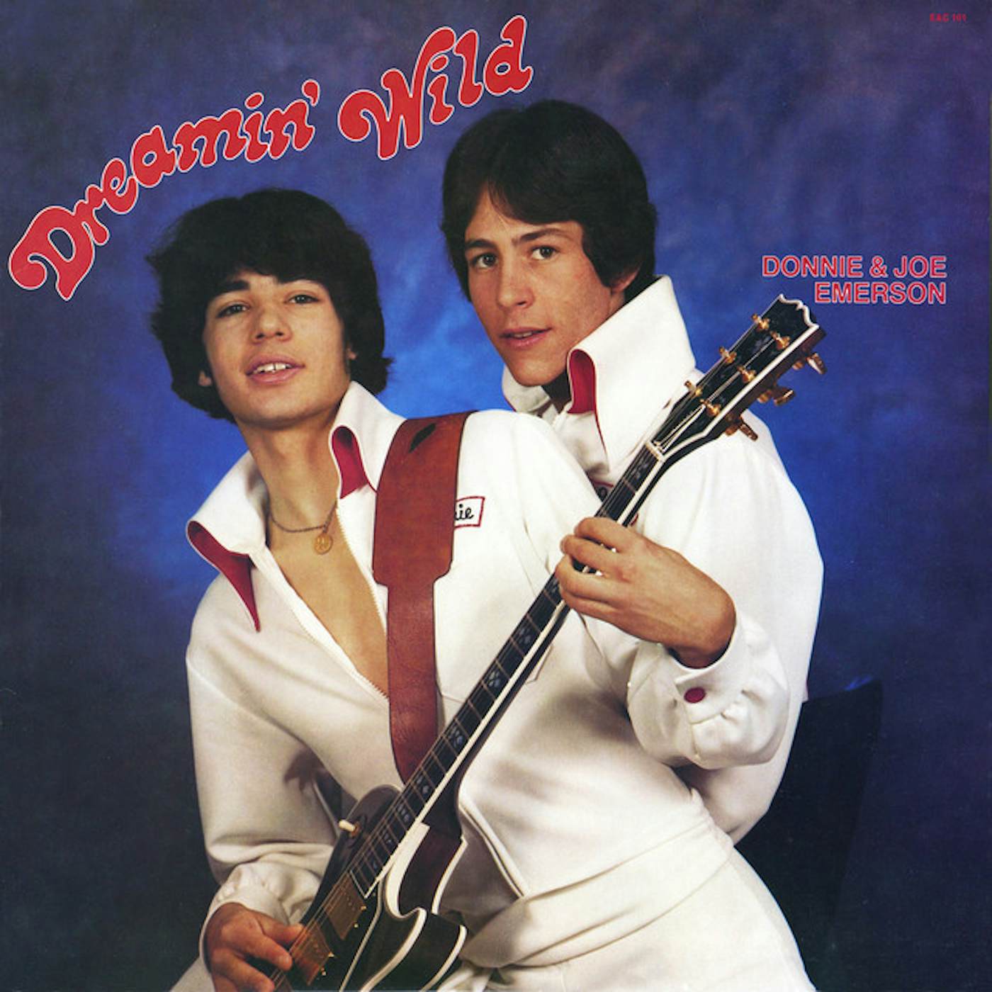 Donnie & Joe Emerson DREAMIN WILD Vinyl Record