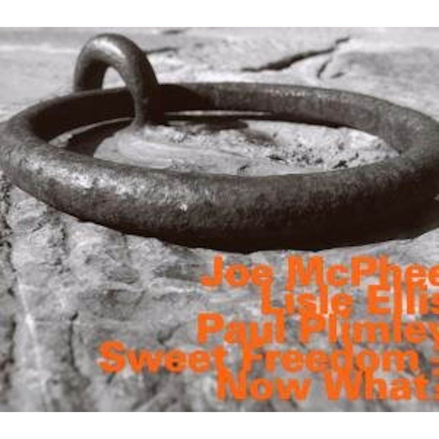 Joe Mcphee NOW WHAT CD