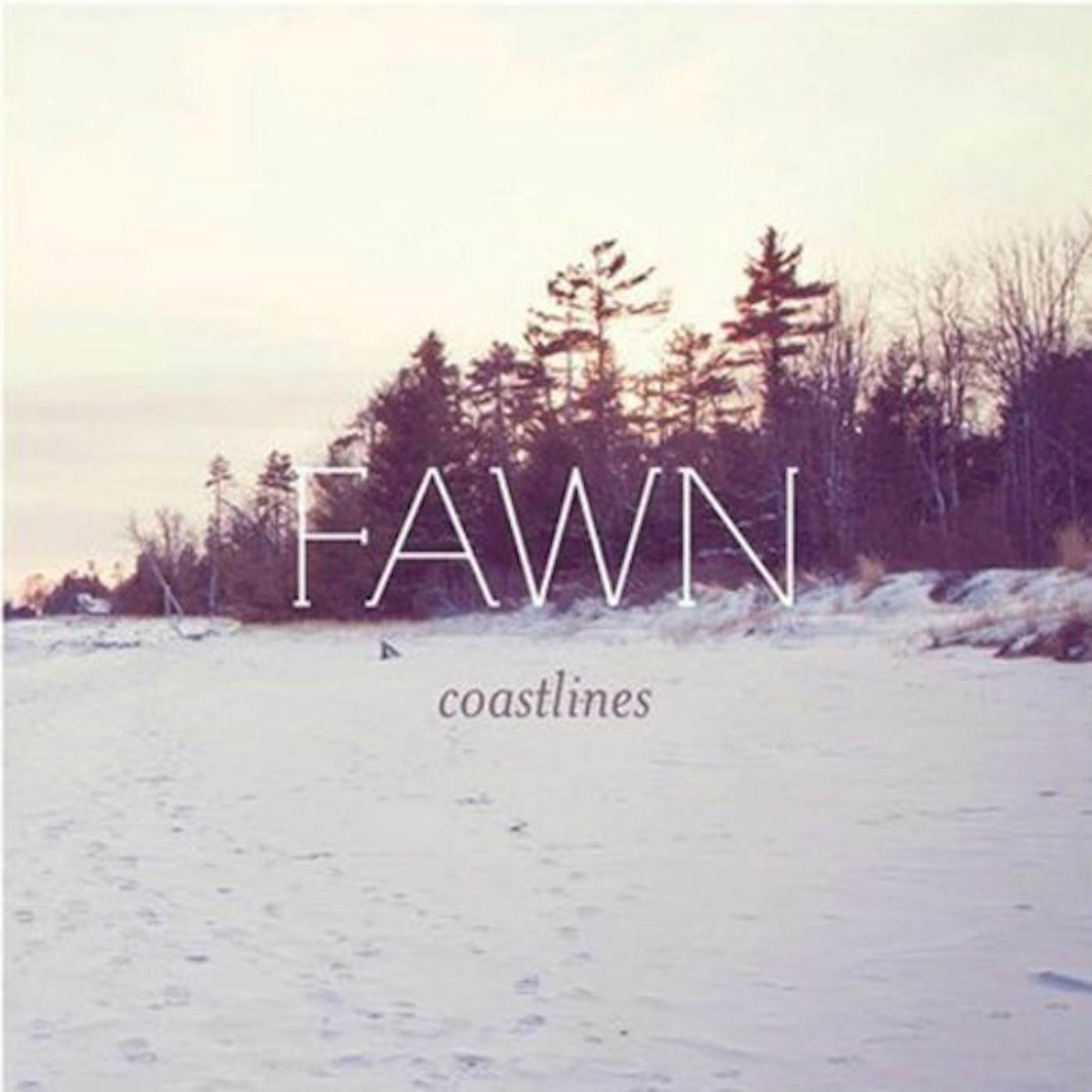 FAWNN Coastlines Vinyl Record