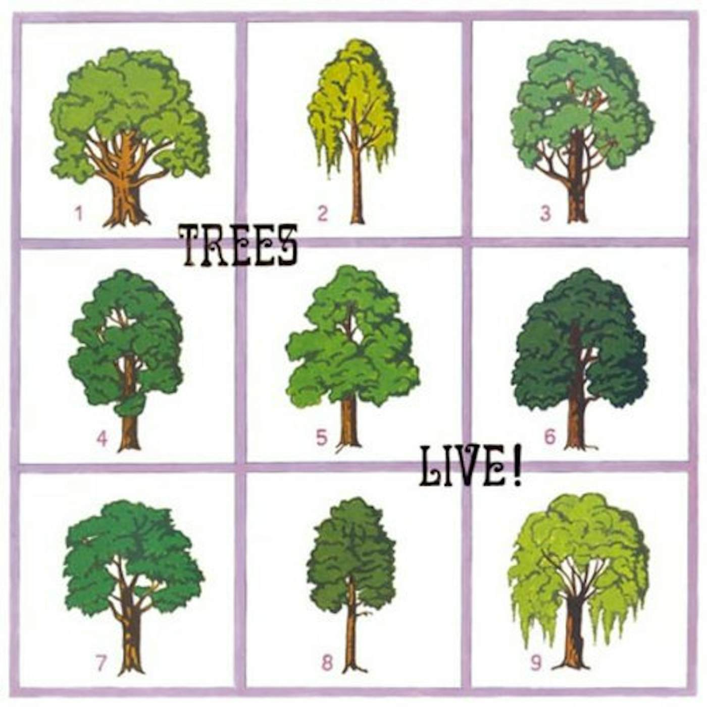 Trees LIVE Vinyl Record