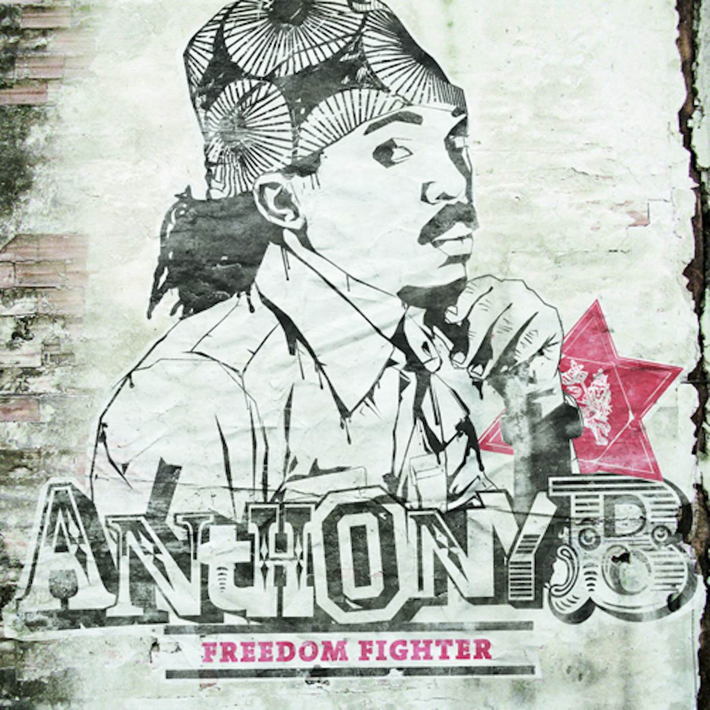 Anthony B Freedom Fighter Vinyl Record