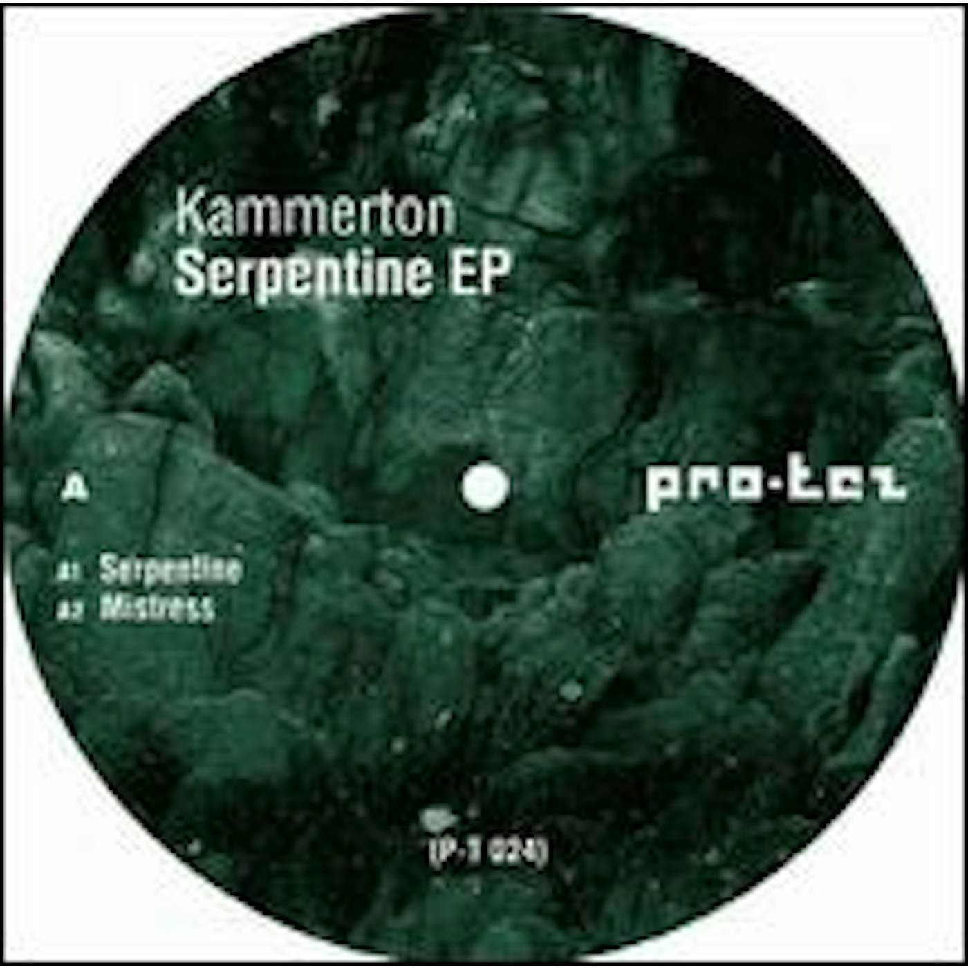 Kammerton SERPENTINE Vinyl Record
