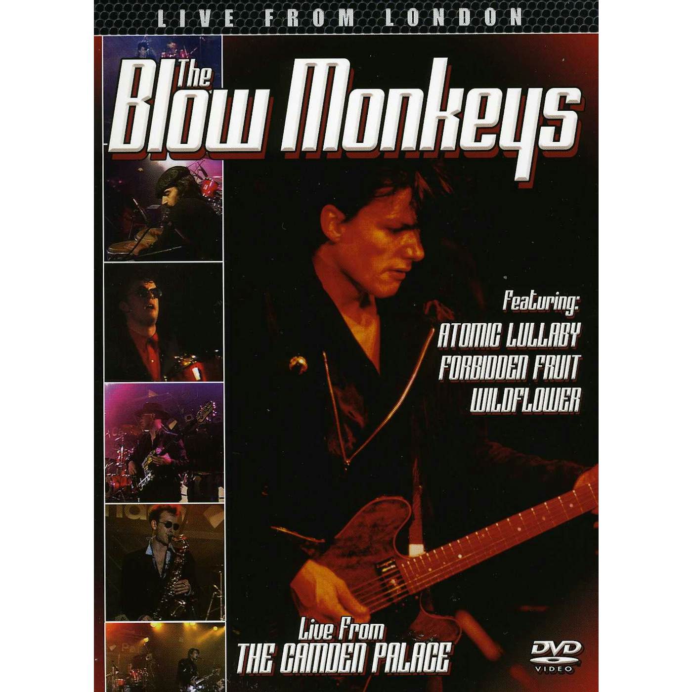 The Blow Monkeys LIVE FROM LONDON DVD