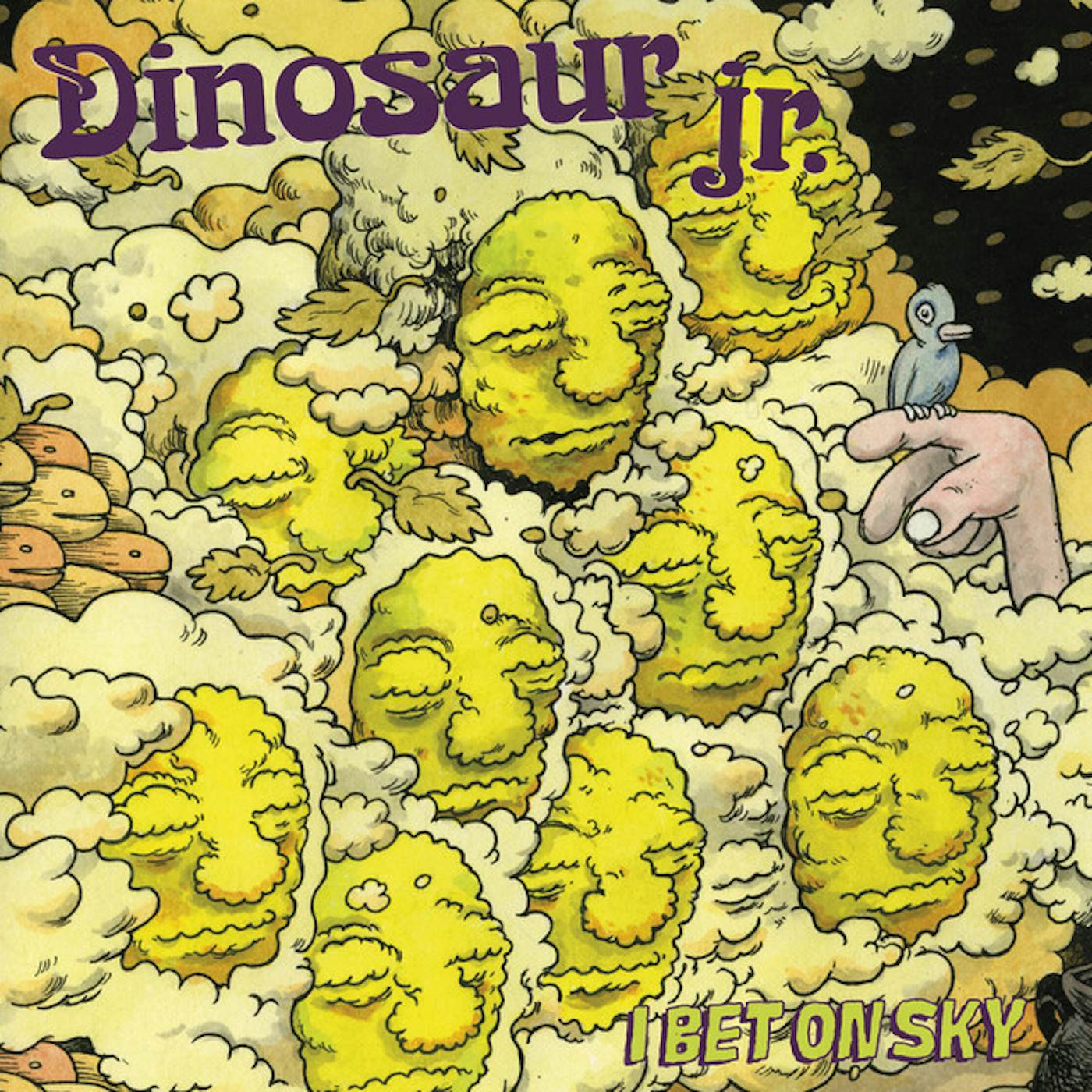 Dinosaur Jr. I Bet On Sky Vinyl Record