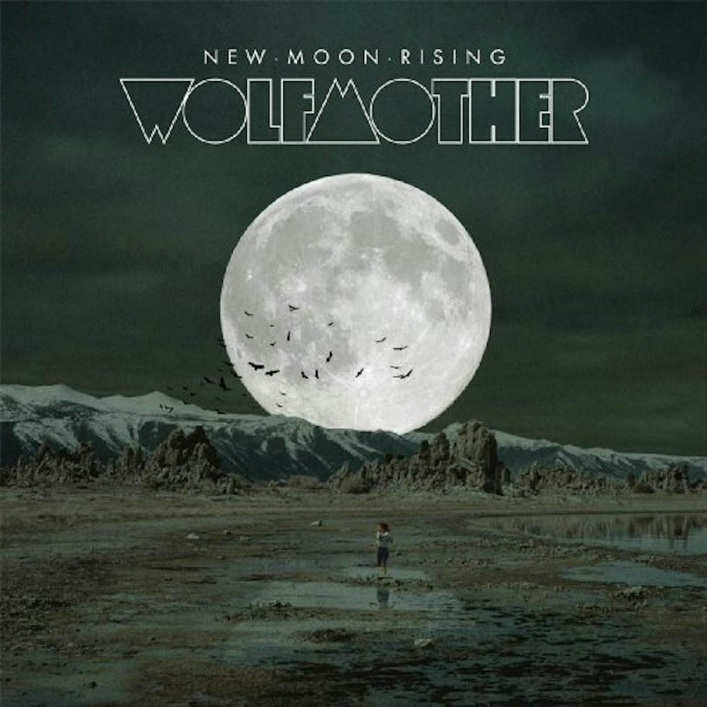 Wolfmother NEW MOON RISING Vinyl Record