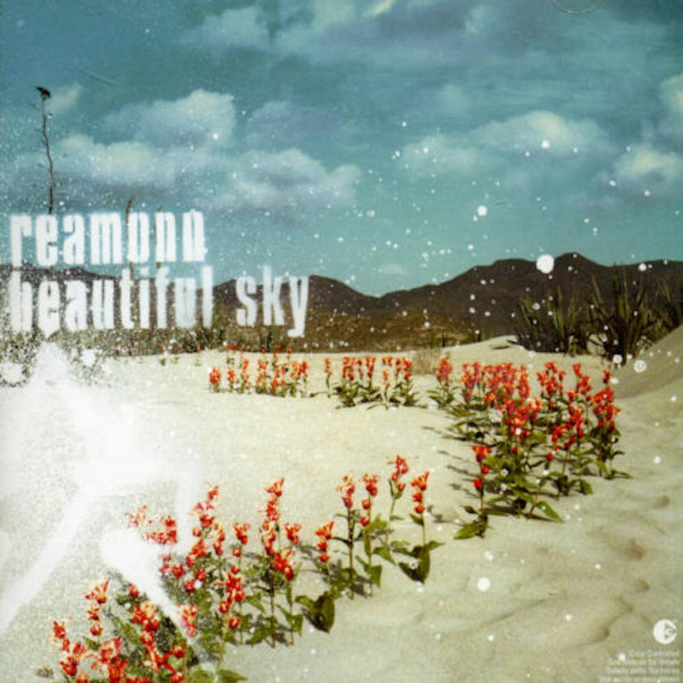Reamonn BEAUTIFUL SKY CD