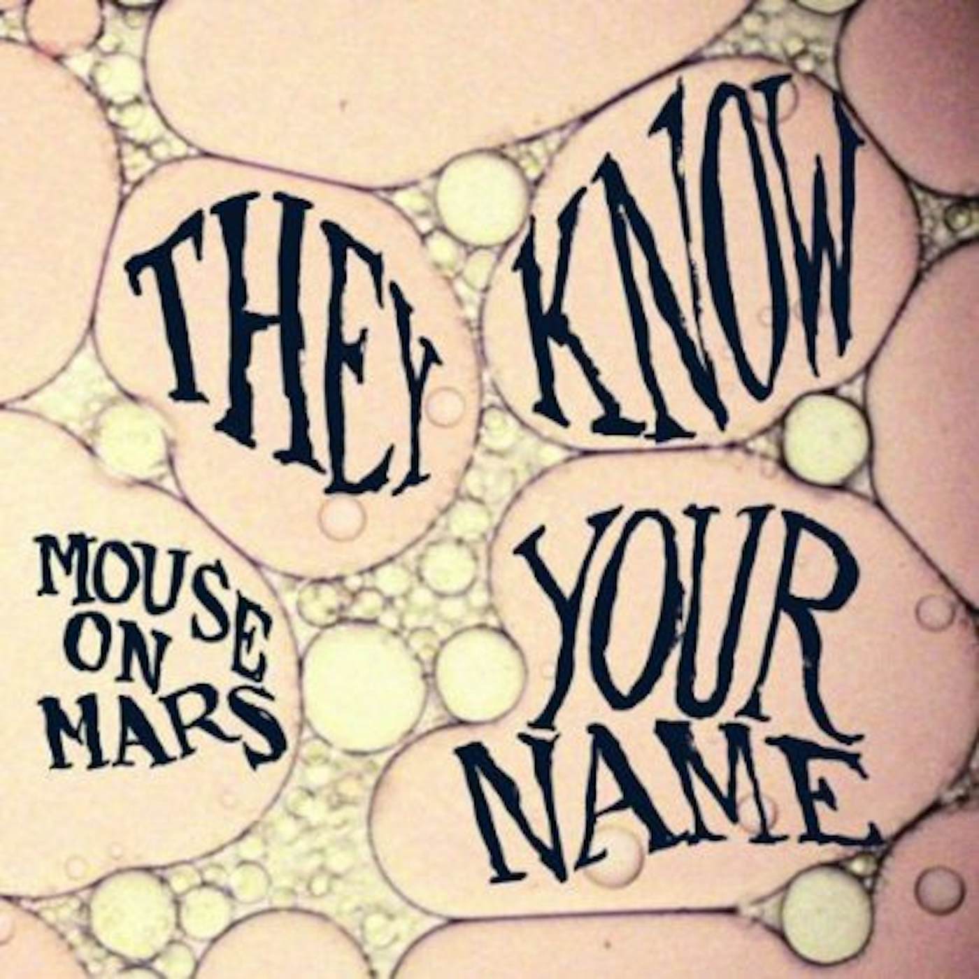 Mouse On Mars They Know Your Name Vinyl Record