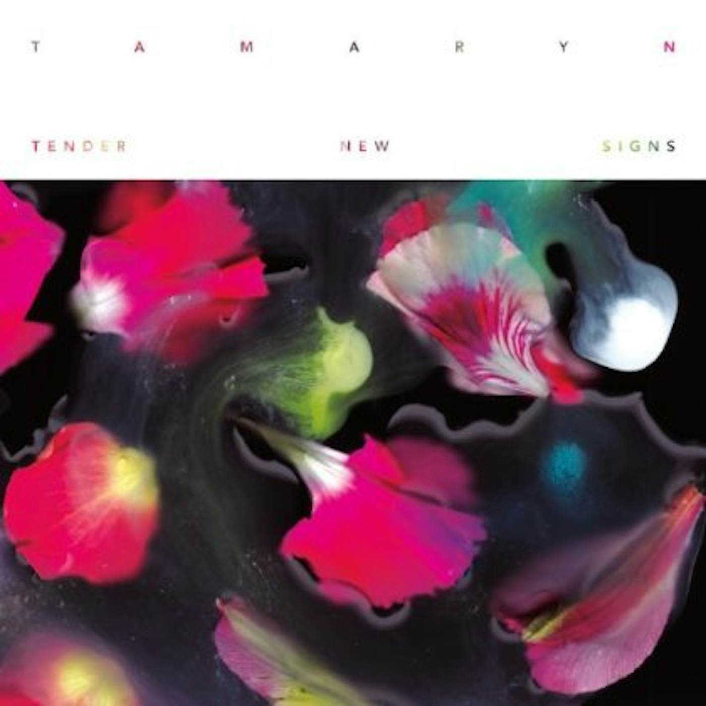 Tamaryn Tender New Signs Vinyl Record