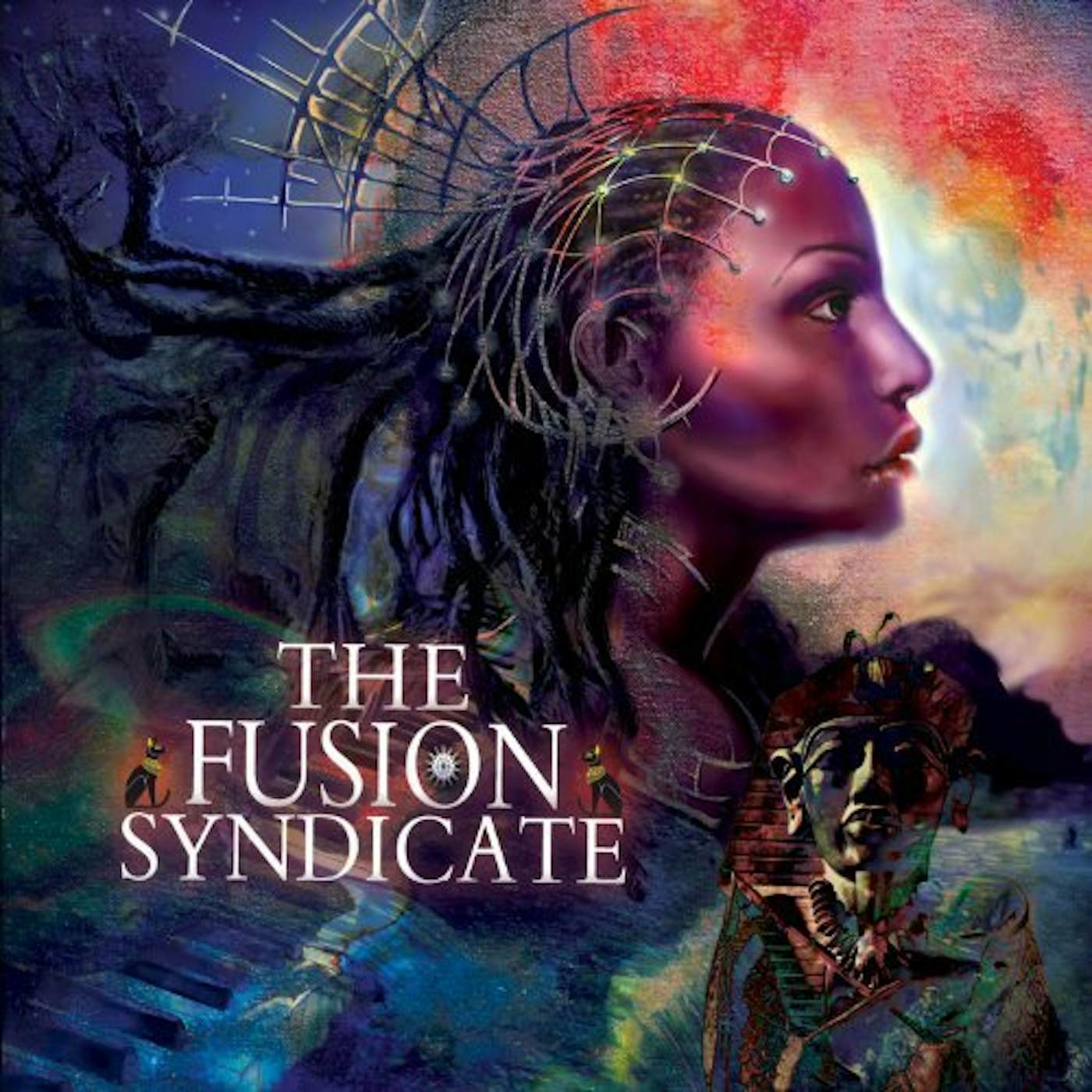 The Fusion Syndicate Vinyl Record