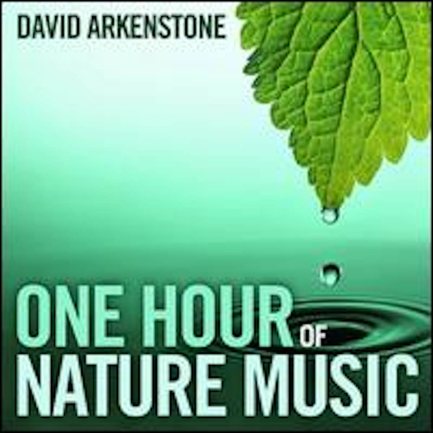 David Arkenstone ONE HOUR OF NATURE MUSIC CD