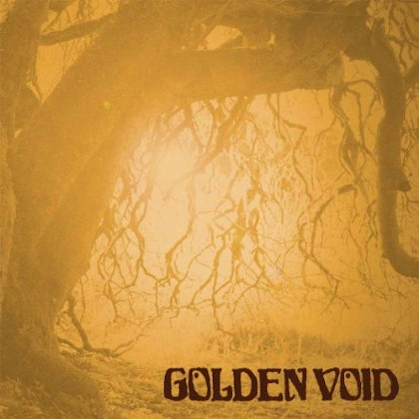 Golden Void Vinyl Record