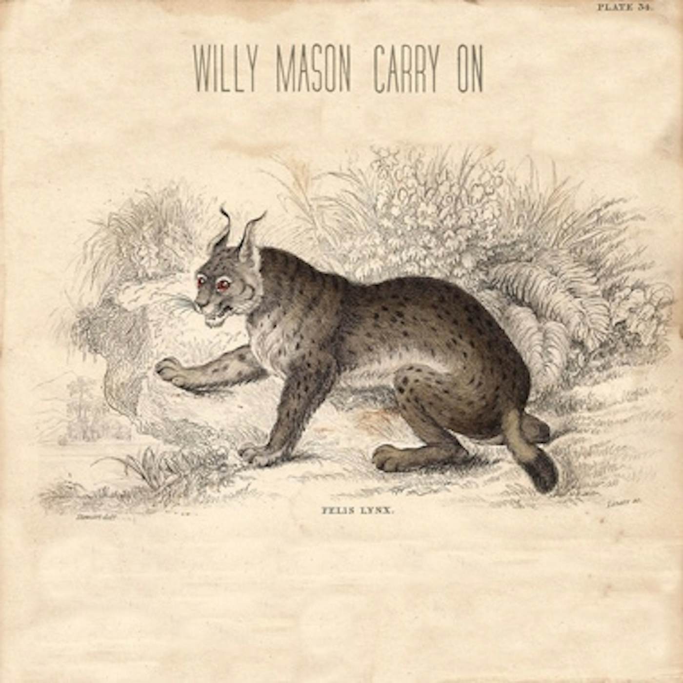 Willy Mason Carry On Vinyl Record