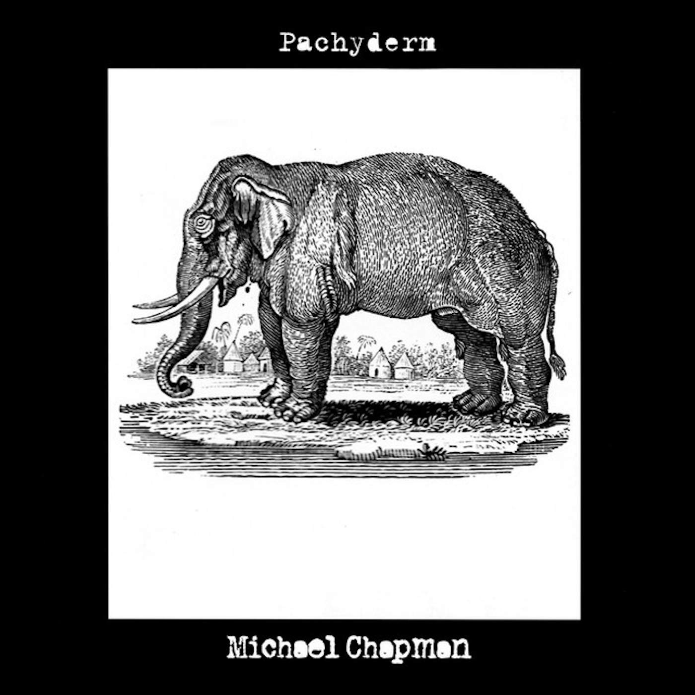 Michael Chapman Pachyderm Vinyl Record