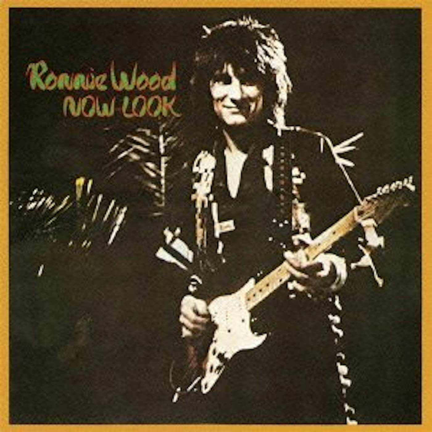 Ronnie Wood NOW LOOK CD
