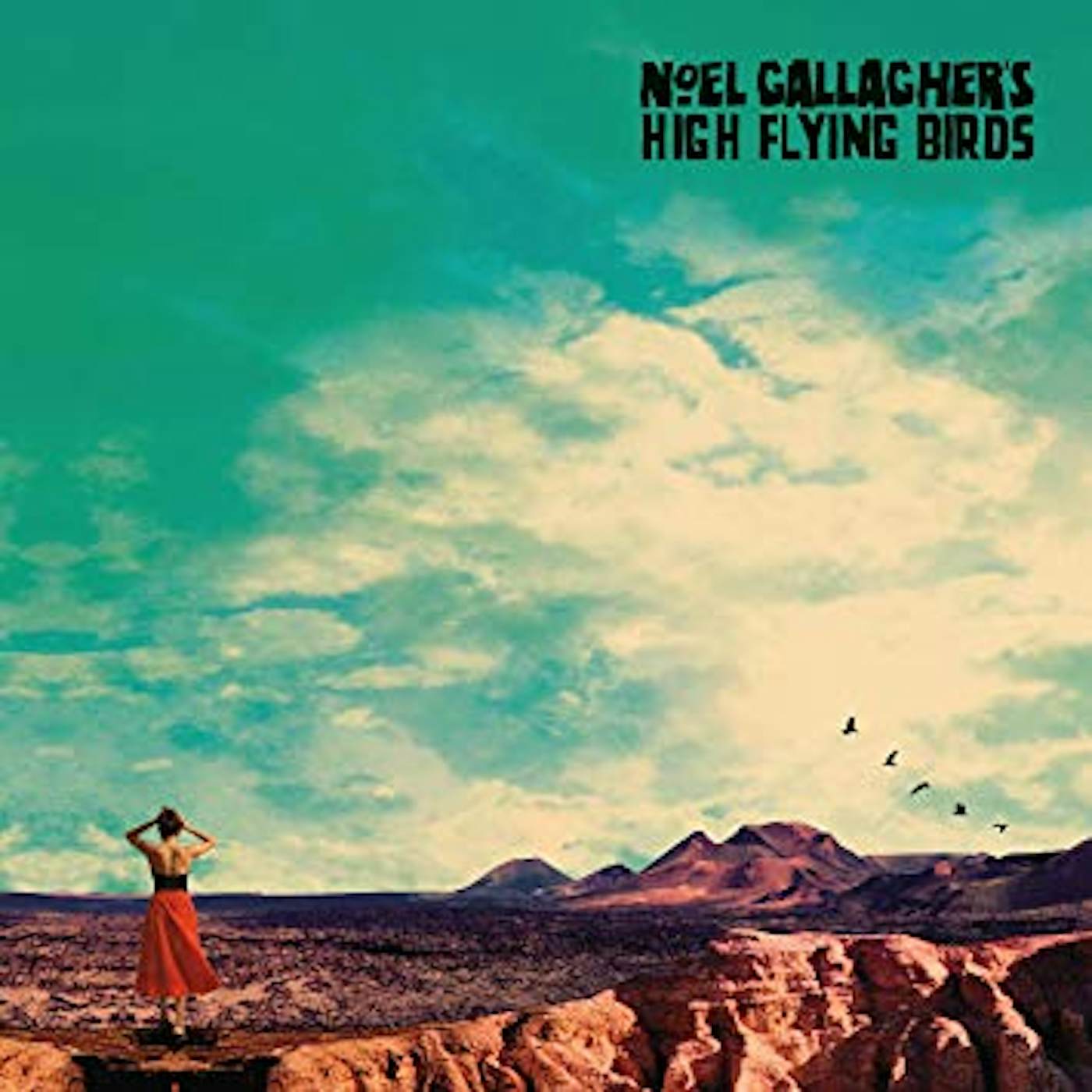 Noel Gallagher's high flying birds Vinyl Record