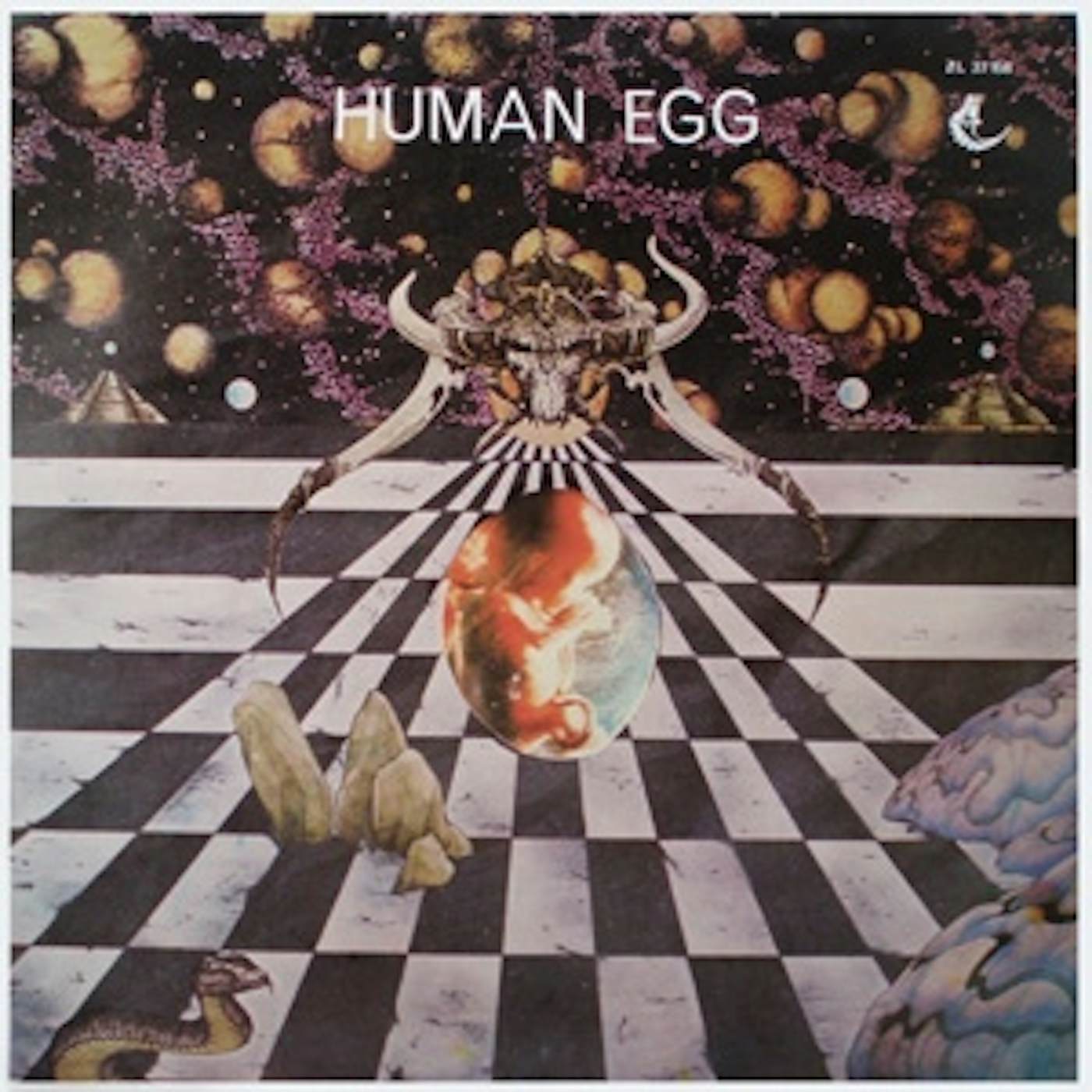 Human Egg Vinyl Record