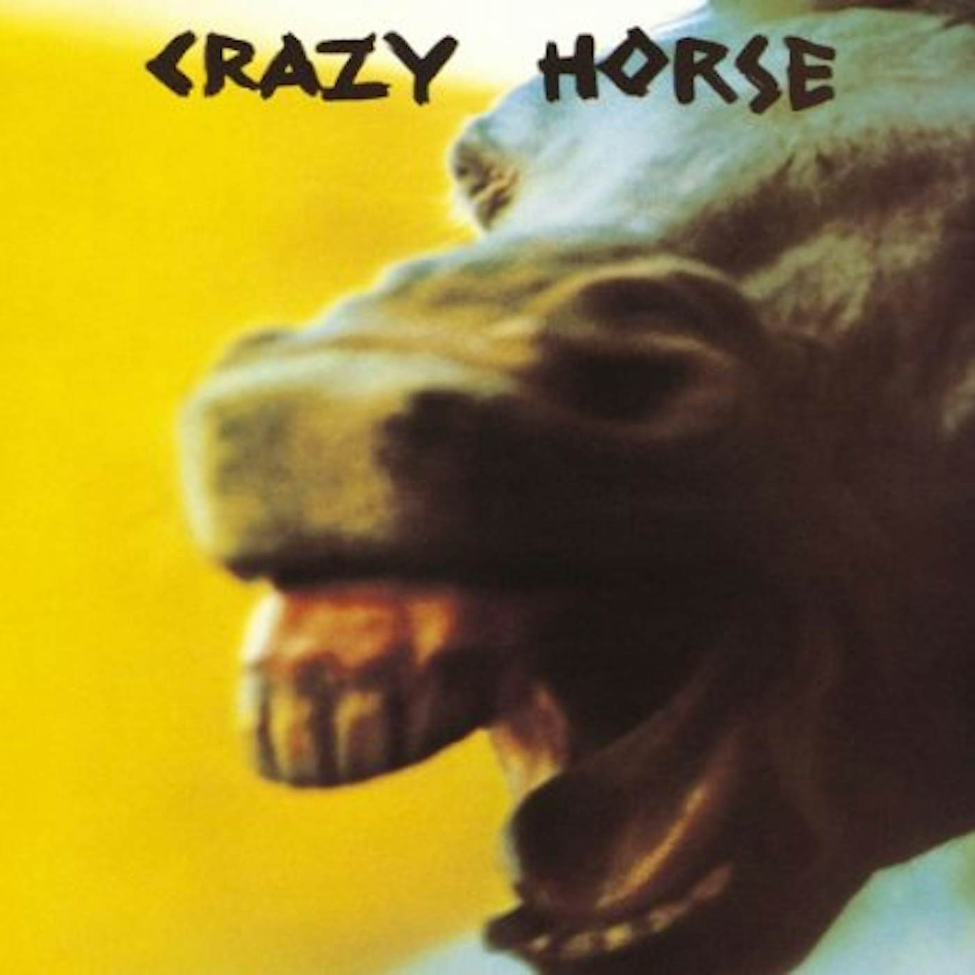 Crazy Horse Vinyl Record