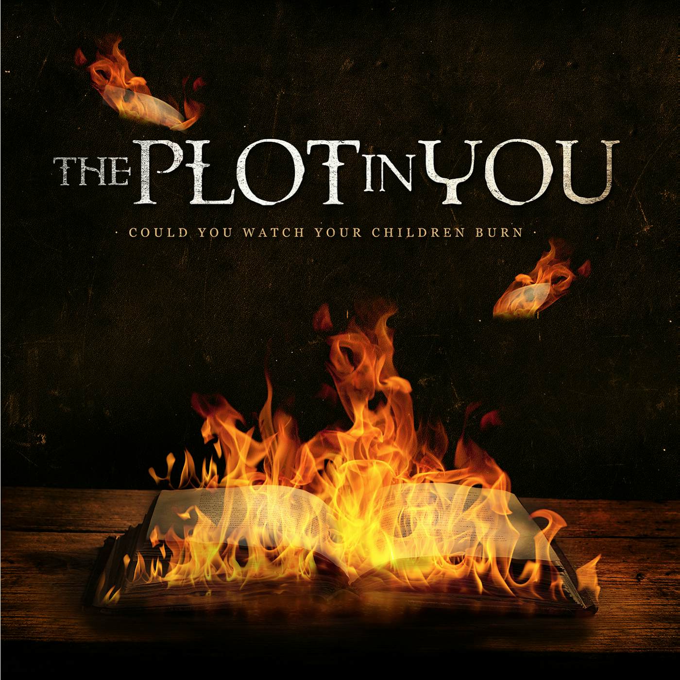 The Plot In You COULD YOU WATCH YOUR CHILDREN BURN CD