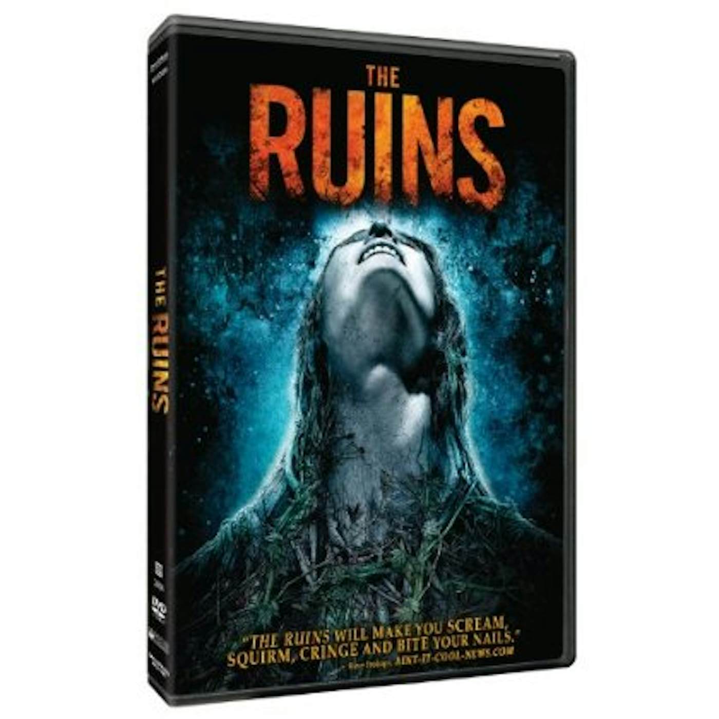 RUINS DVD