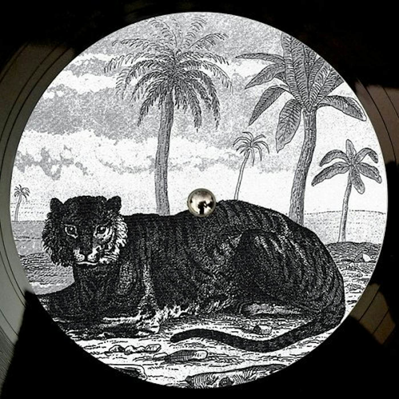 Tigerskin TRY THE IMPOSSIBLE Vinyl Record