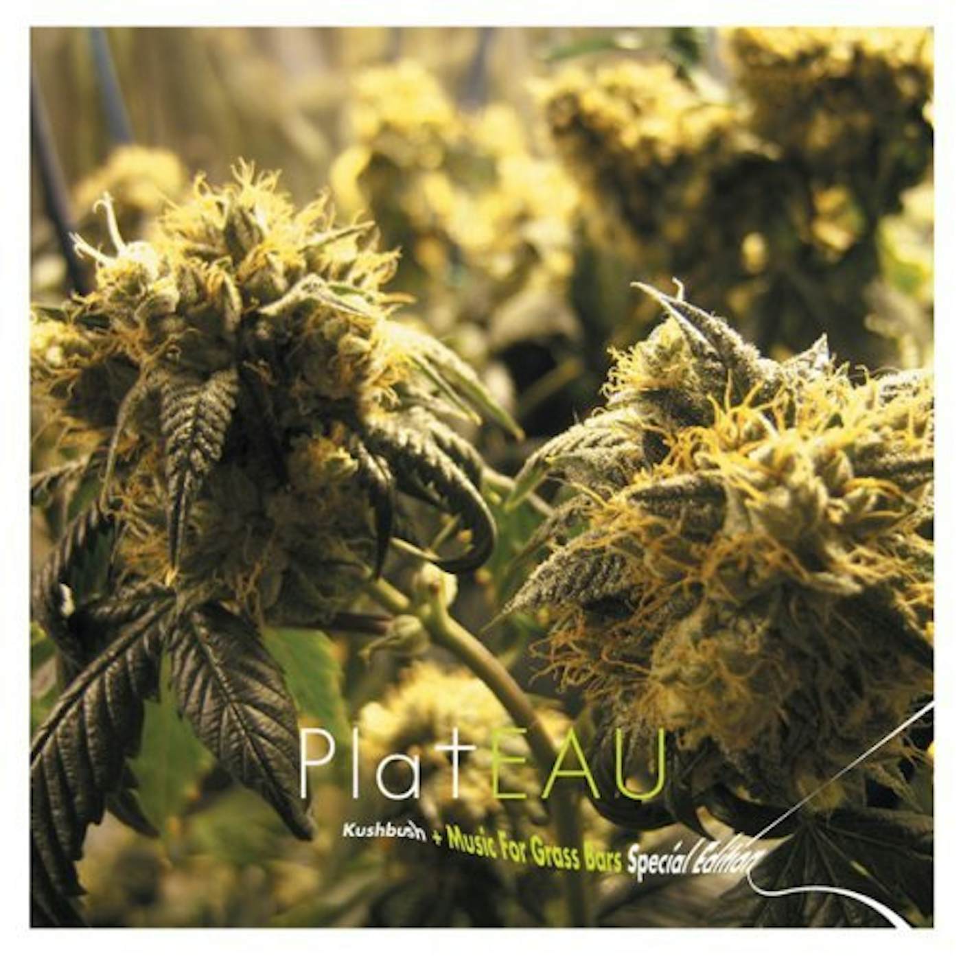 Plateau KUSHBUSH + MUSIC FOR GRASS BARS CD
