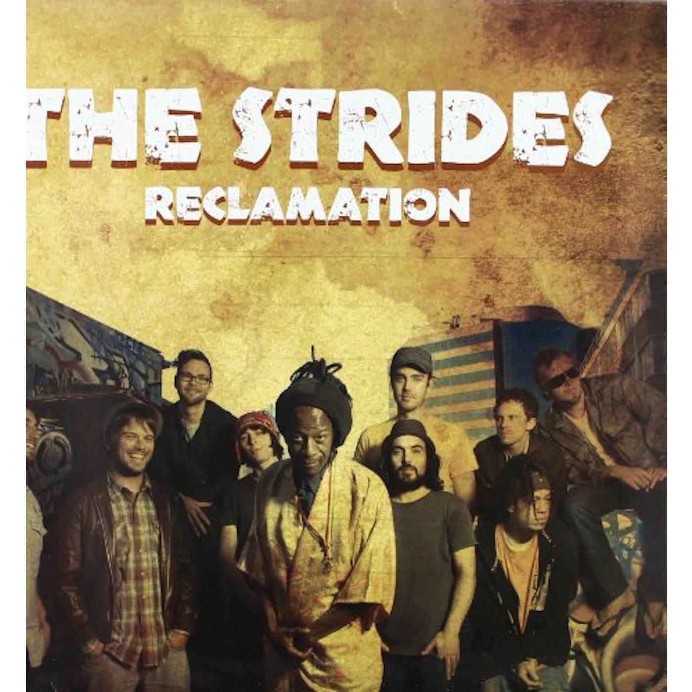 Strides Reclamation Vinyl Record