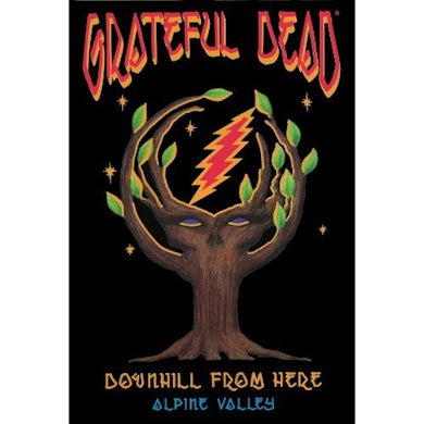 Grateful Dead DOWNHILL FROM HERE DVD