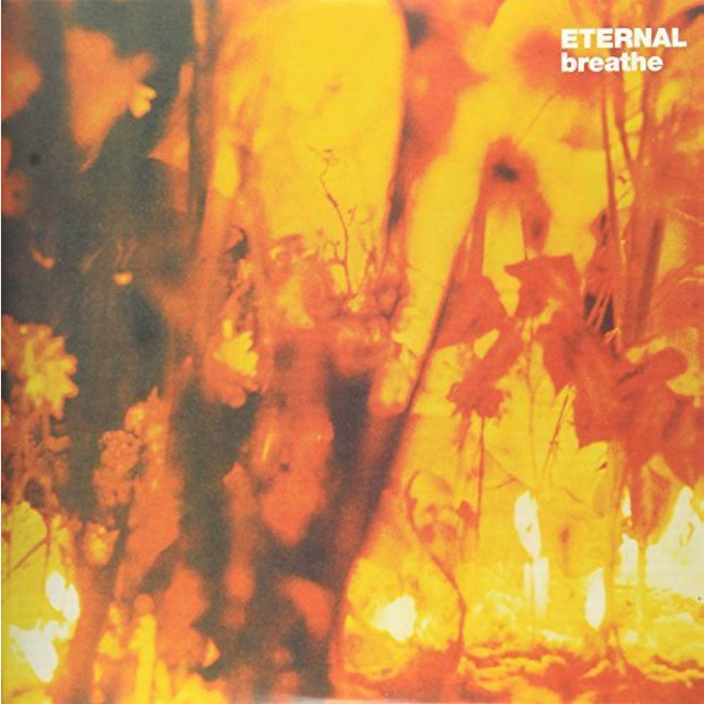 Eternal Breathe Vinyl Record