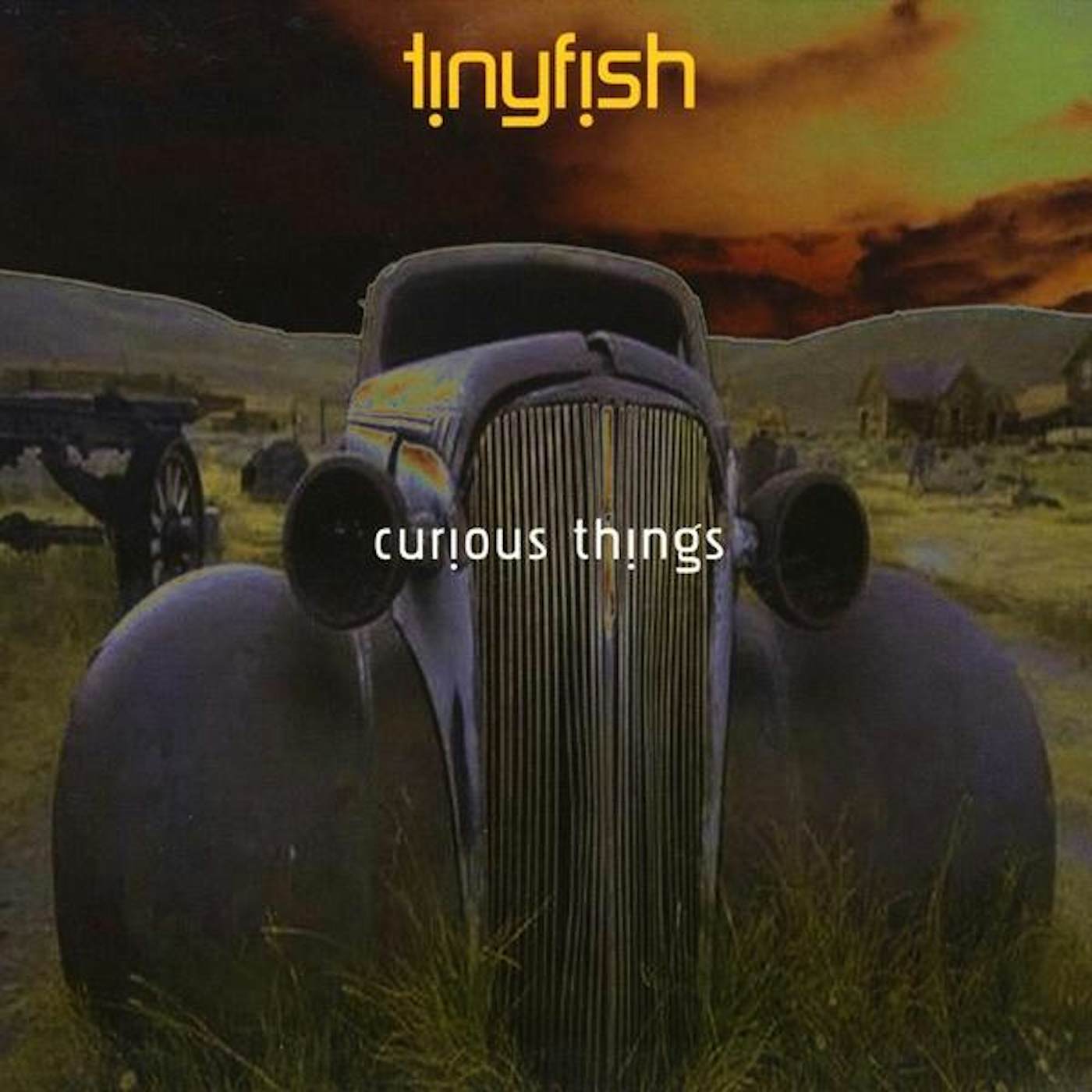 Tinyfish CURIOUS THINGS CD