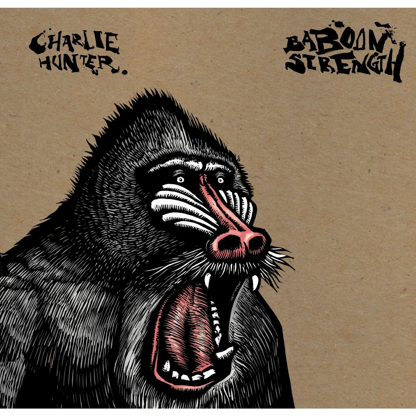Charlie Hunter Baboon Strength Vinyl Record