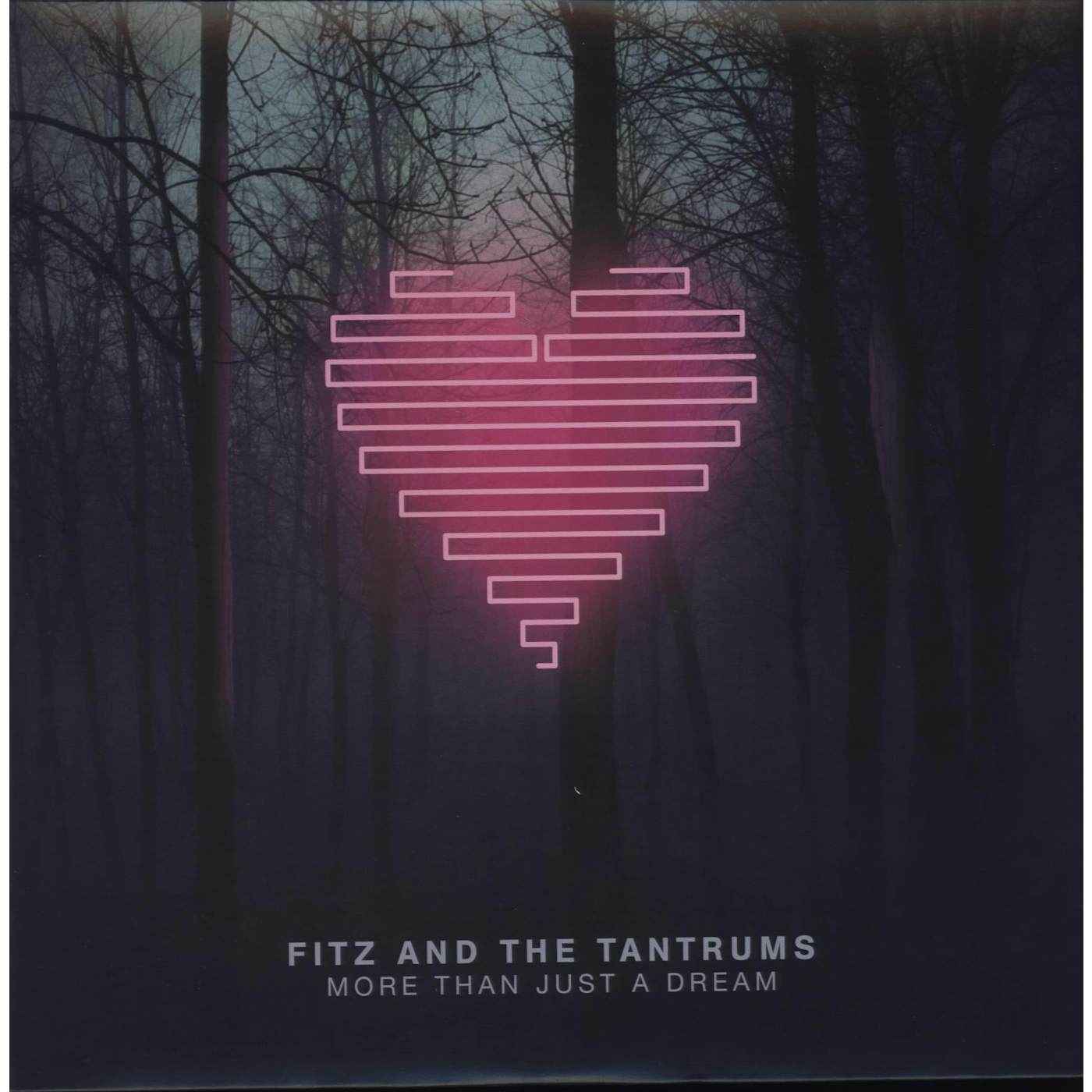 Fitz and The Tantrums More Than Just A Dream Vinyl Record