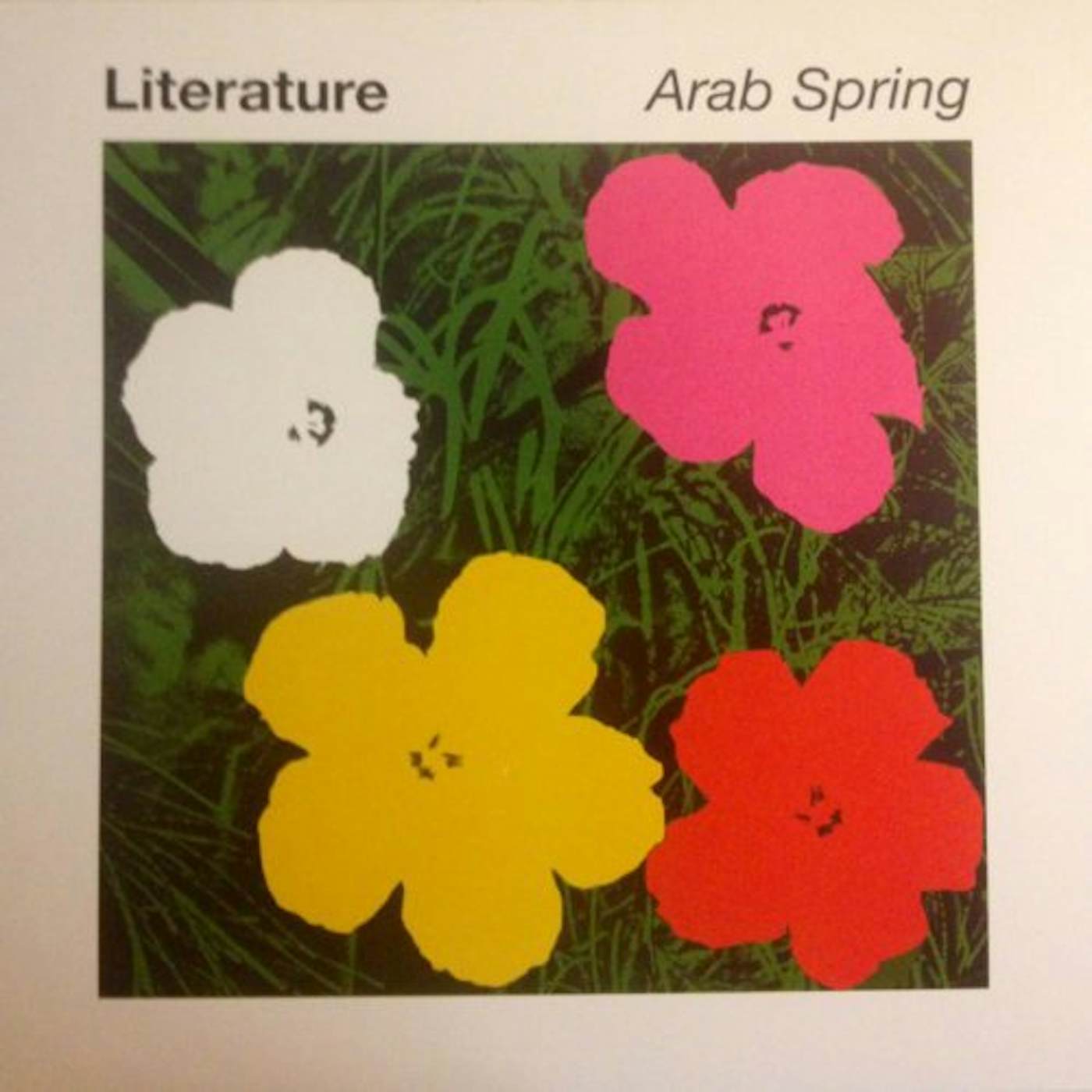 Literature Arab Spring Vinyl Record