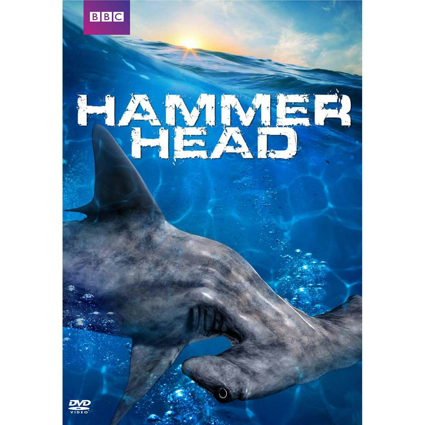 HAMMERHEAD DVD