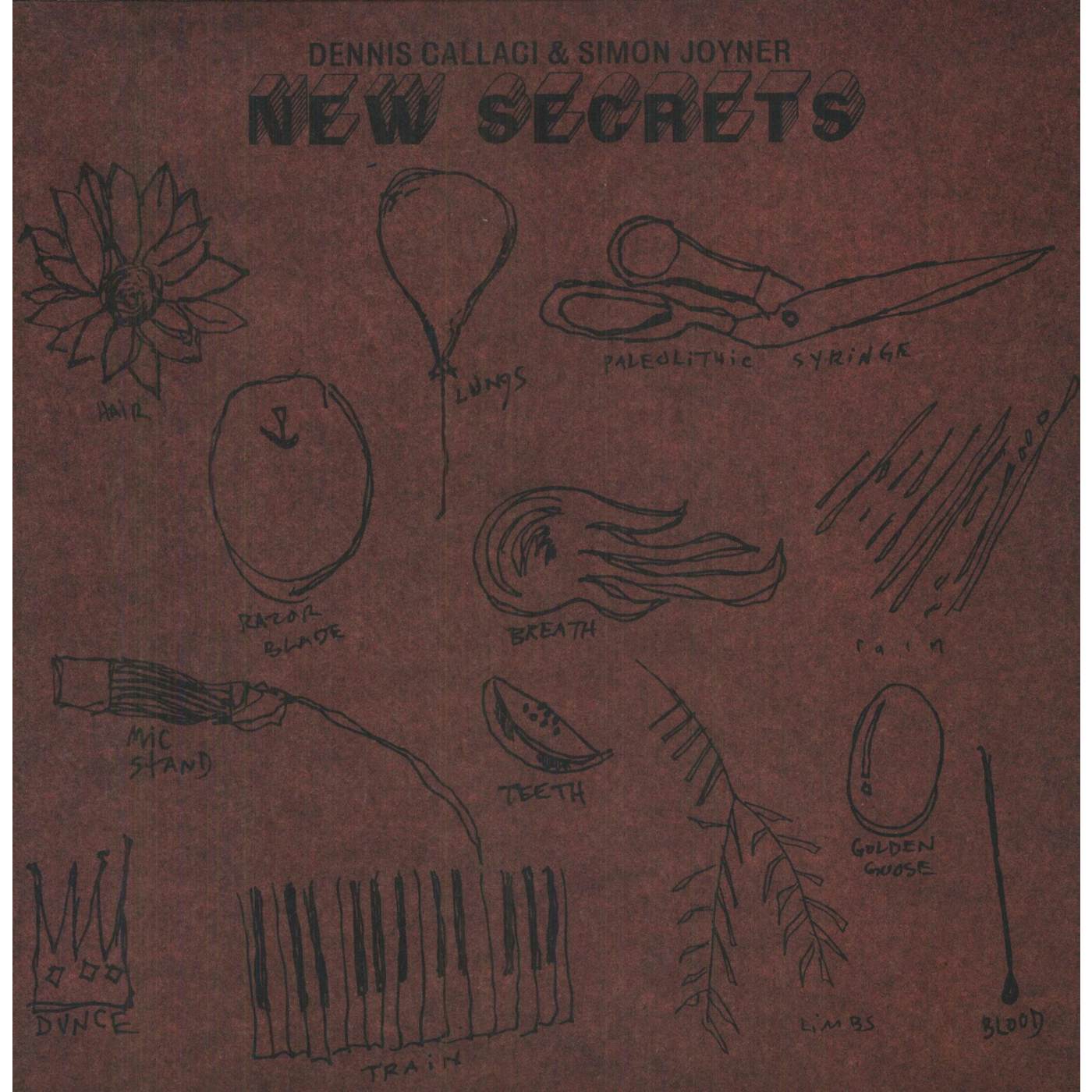 Dennis Callaci & Simon Joyner New Secrets Vinyl Record