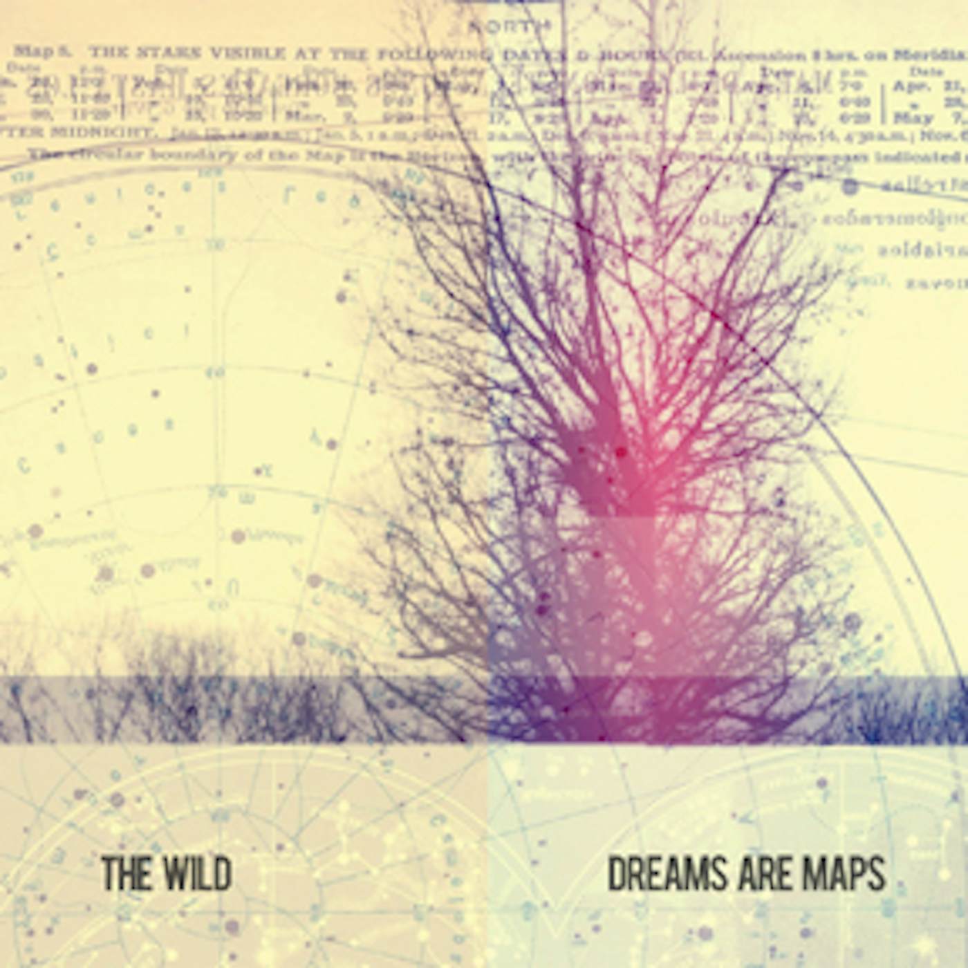 The Wild DREAMS ARE MAPS CD